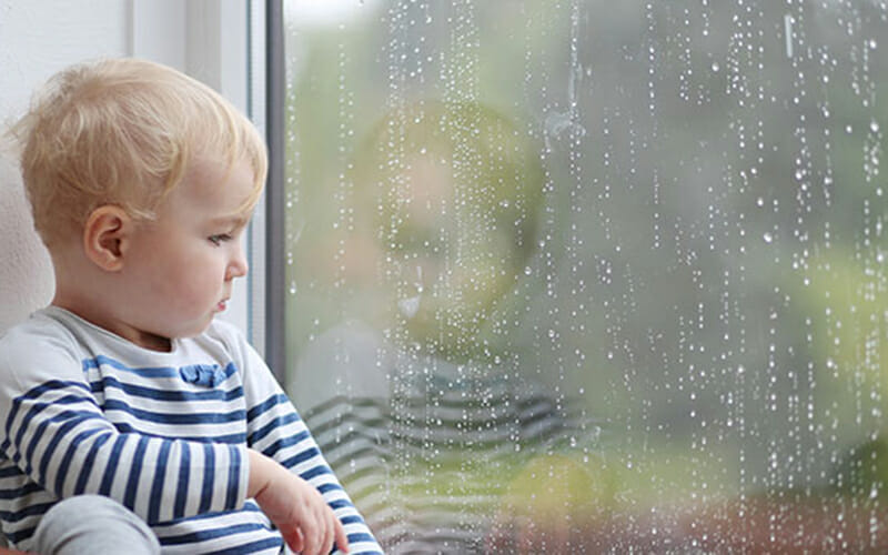 Featured image for - Do Landscaping Companies Work in the Rain?