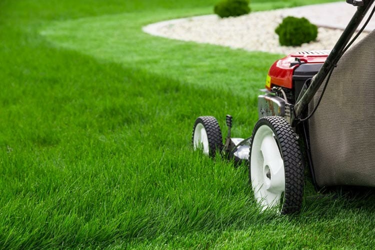 Lawn Care Software