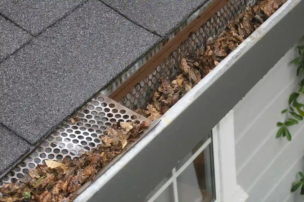 Rain Gutter Guard