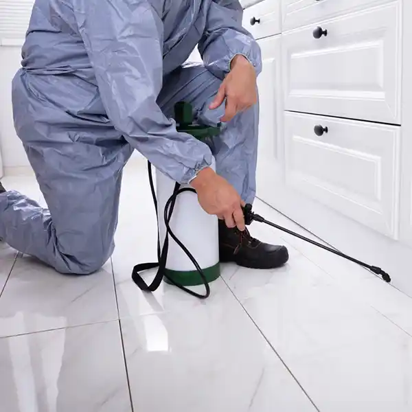 Exterminator spraying cabinets using pest control business management software