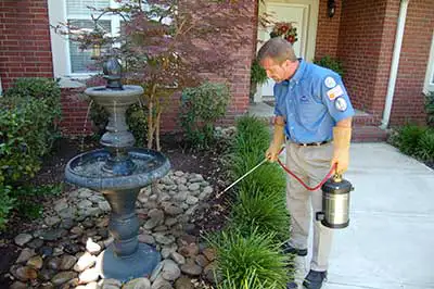 Exterminator treating garden
