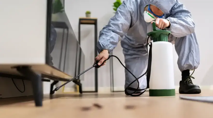 Treating Living Room with Pest Control