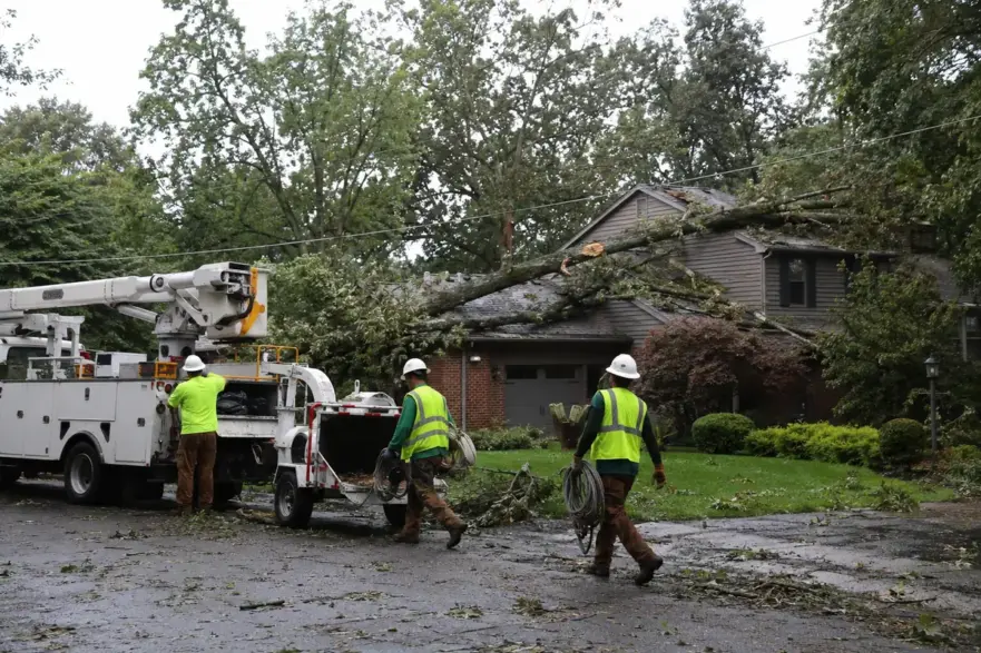 Tree service crew with bucket truck cleans up storm-damaged oak on suburban home.