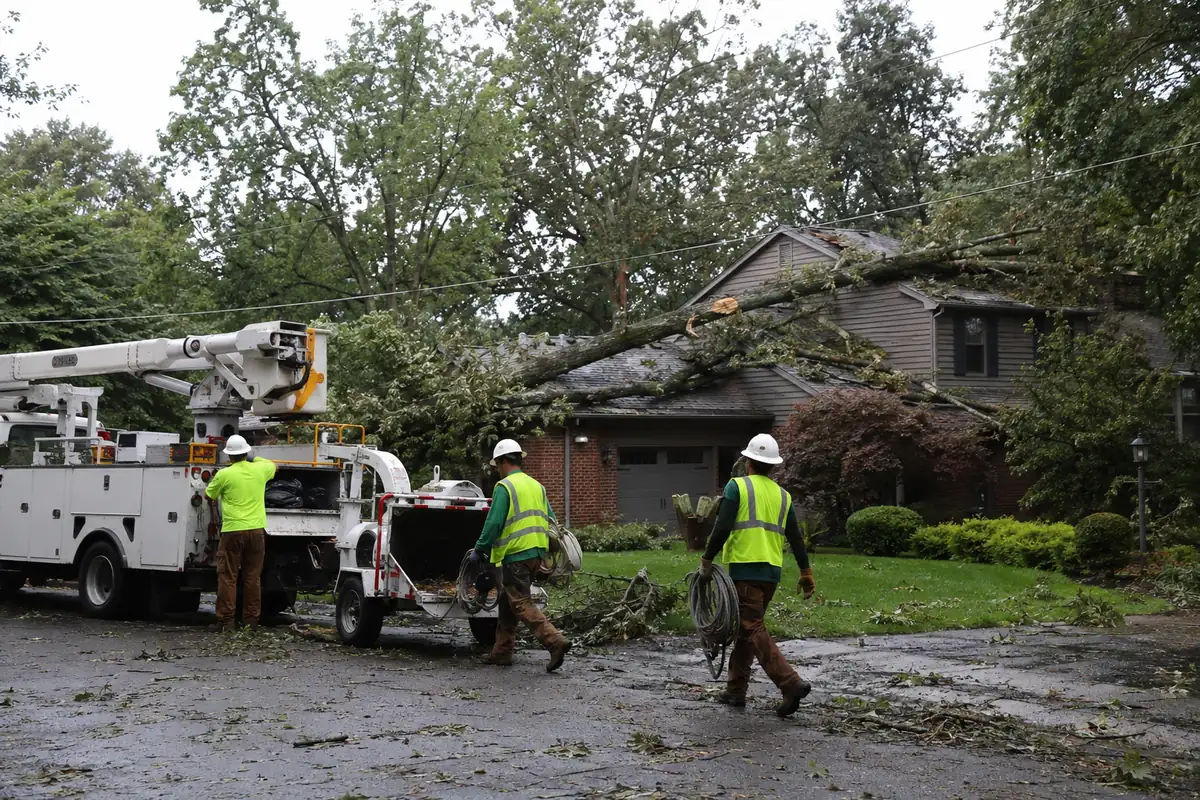 Featured image for - Tree Service Storm Response: How to Dispatch Emergency Crews Without Wrecking Your Maintenance Schedule